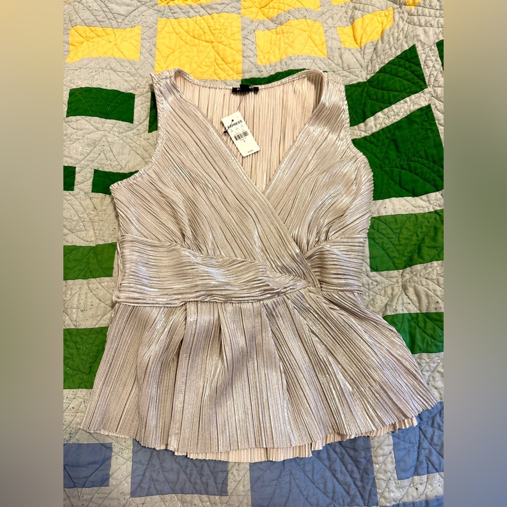 NWT Express Silver Pleated Top